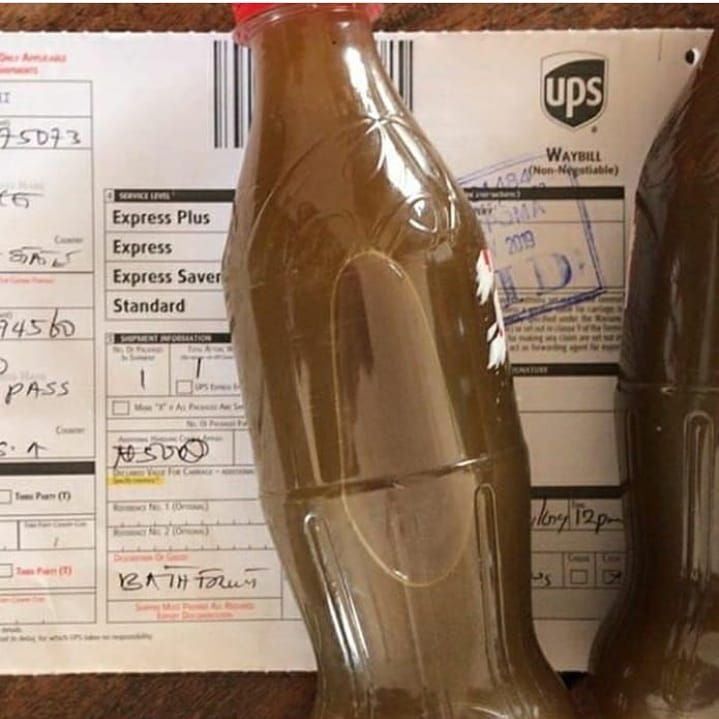 The 5 Most Powerful West African Herbs for Immune Support